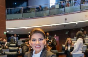 Senado analizará reforma electoral para una democracia más austera: Lorenia Valles