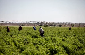 Canadá anuncia envío de ayuda humanitaria a Cuba