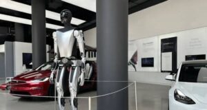 Musk anuncia proyecto conjunto entre xAI y Tesla para crear IA que genere software